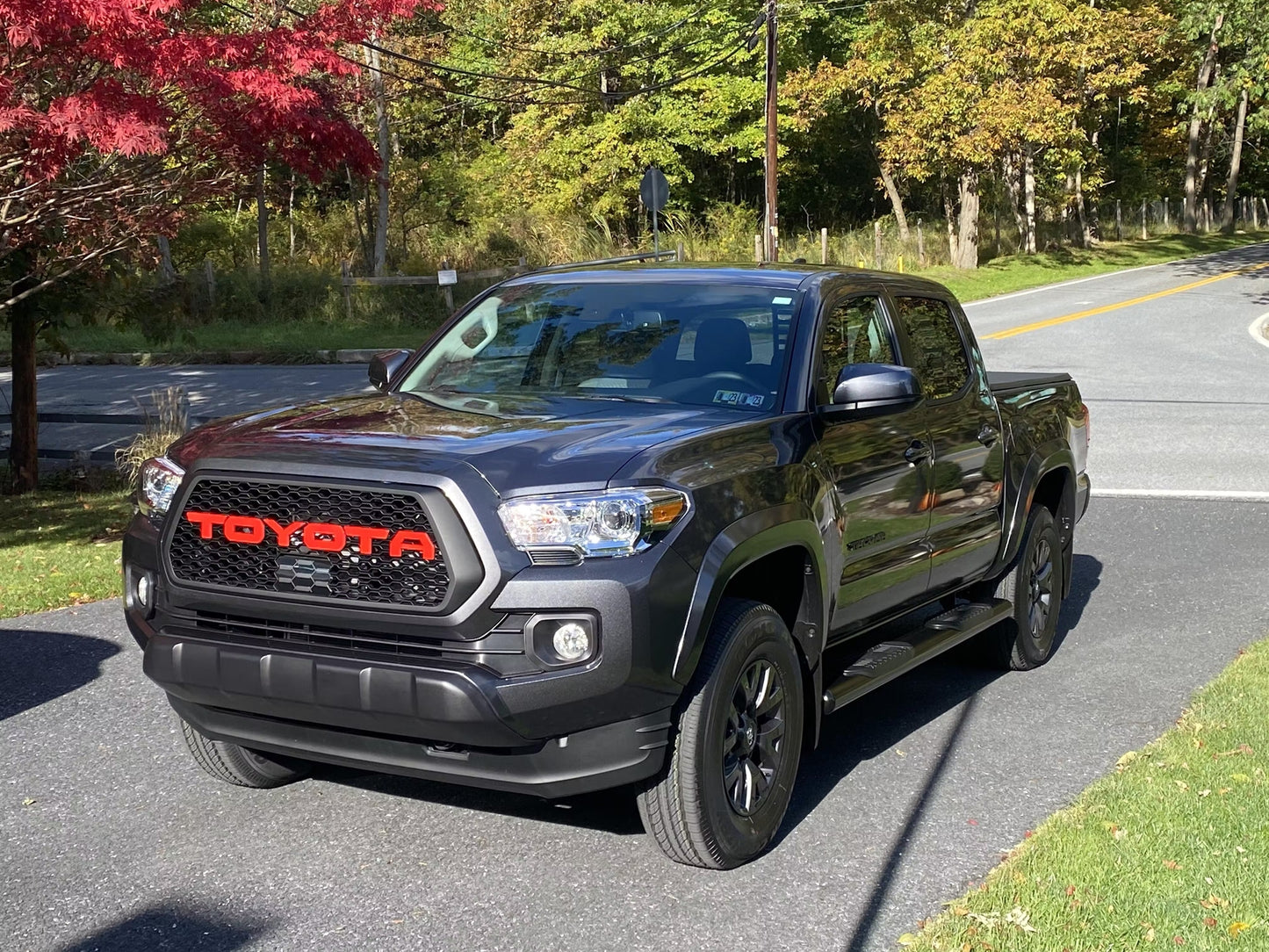 tacoma honeycomb grille